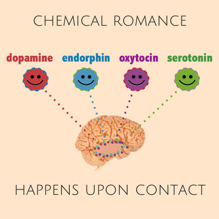 Hormone Infographic