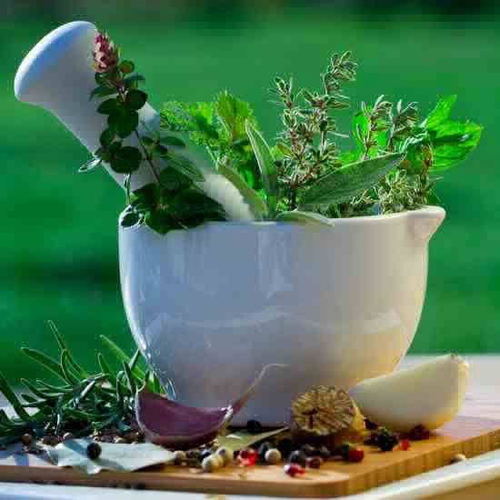 Herbal Therapy
